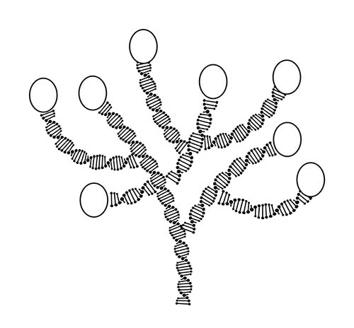 DNA Tree