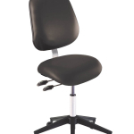 Ergonomic Chair